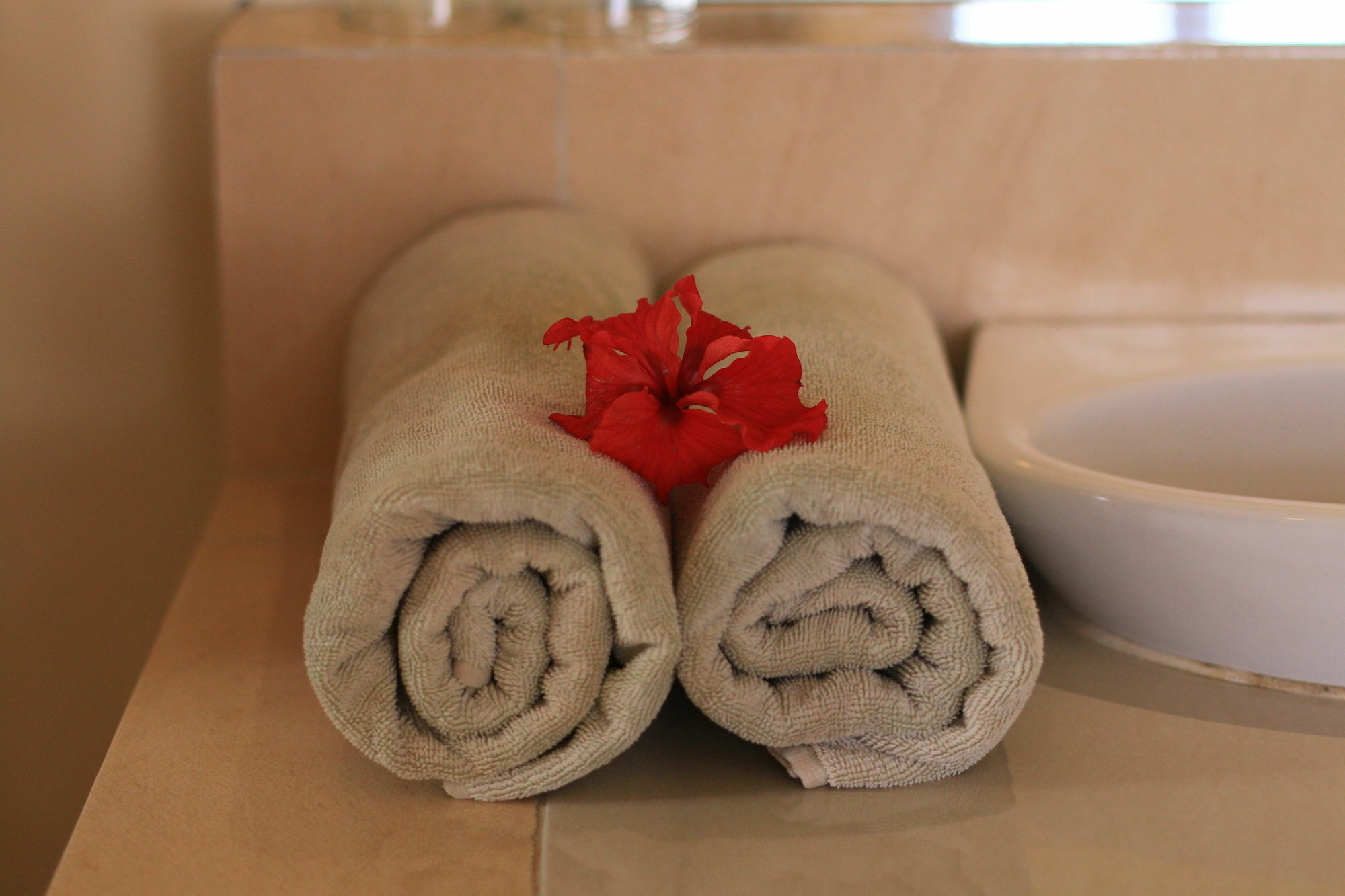 Frangipani Bungalow Ubud Dış mekan fotoğraf